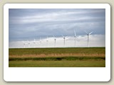DSC_2474_Pettemer Polder