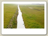 DSC_2699_Pettemer Polder