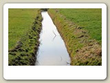 DSC_2700_Pettemer Polder