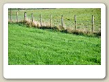 DSC_6272_Wijchen, Gelderland