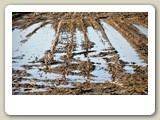 DSC_6280_Wijchen, Gelderland