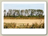 DSC_8786_In de Camargue (Frankrijk)