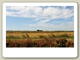 DSC_8788_In de Camargue (Frankrijk)