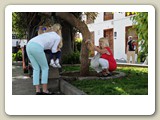 DSC_2833_Los Llanos (La Palma)