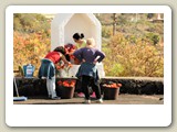 DSC_7070_Los Manachas (La Palma)